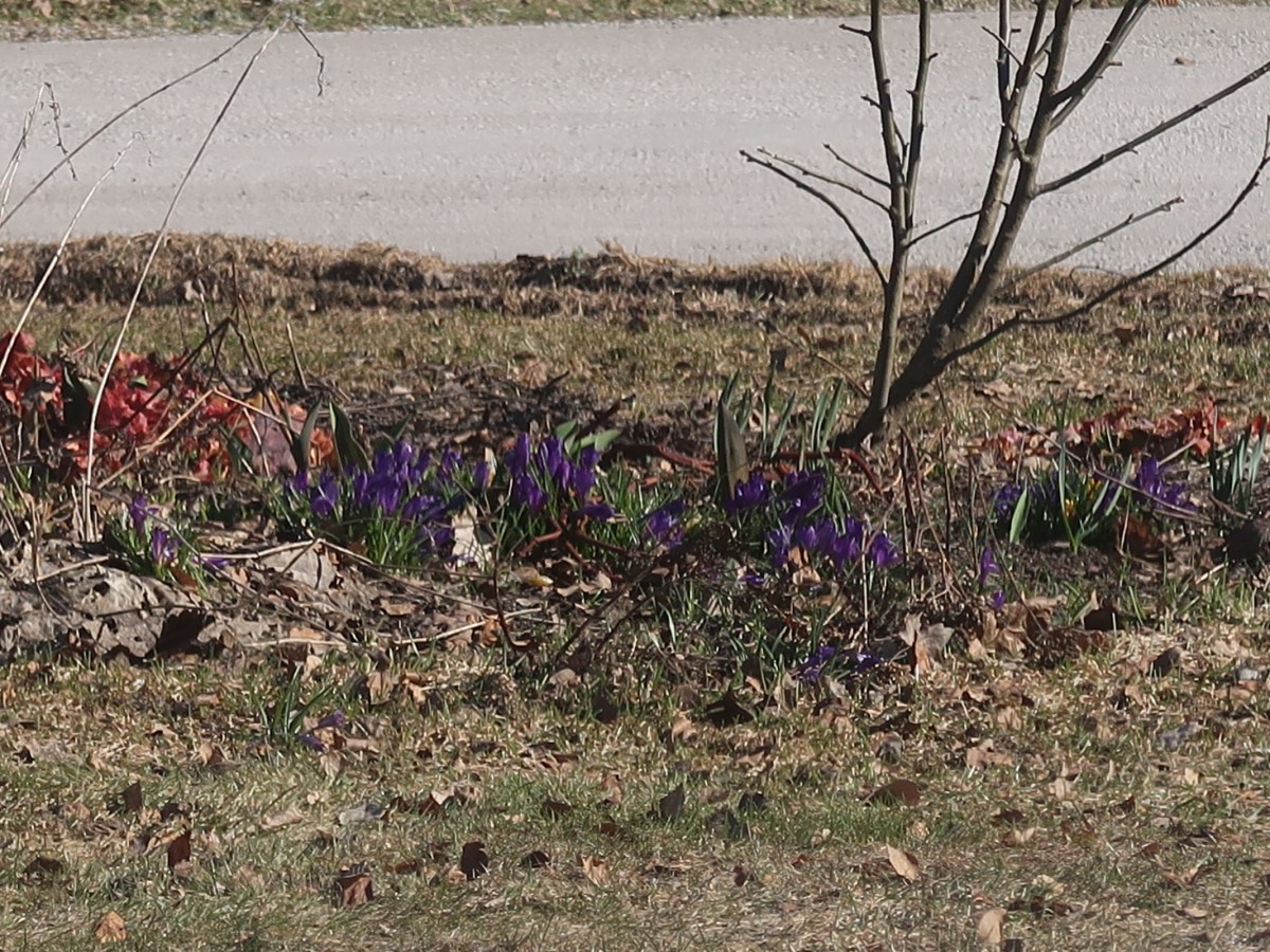 Sätt rätt färgburk i rätt&nbsp;hög